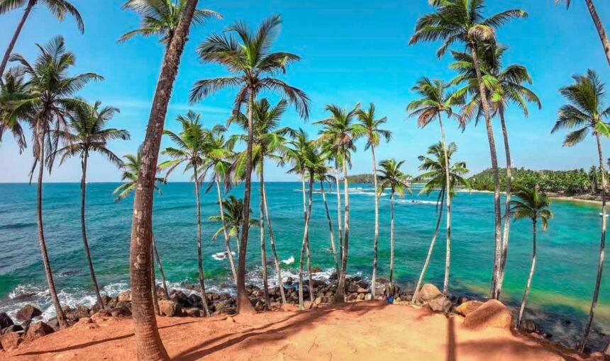 🏝️ Discovering Mirissa Beach – A Tropical Paradise in Sri Lanka