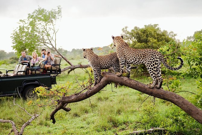 Safari at Yala National Park